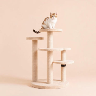 Multi-Level Cat Scratching Tower