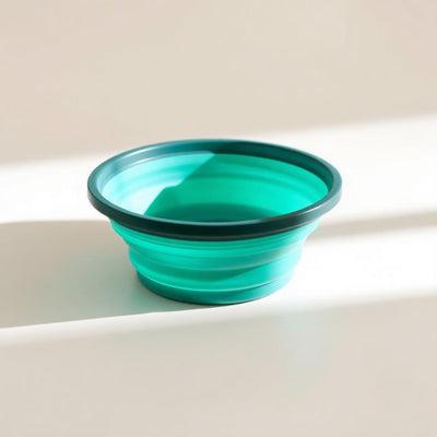Collapsible Silicone Travel Bowl