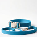 Teal nylon dog collar and leash set