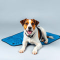 Waterproof Outdoor Cooling Dog Mat