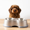 Stainless Steel Non-Slip Pet Bowl Set