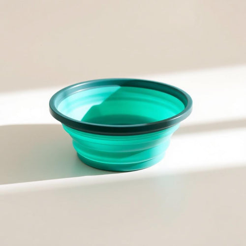 Collapsible Silicone Travel Bowl