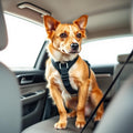 Adjustable Dog Car Safety Harness
