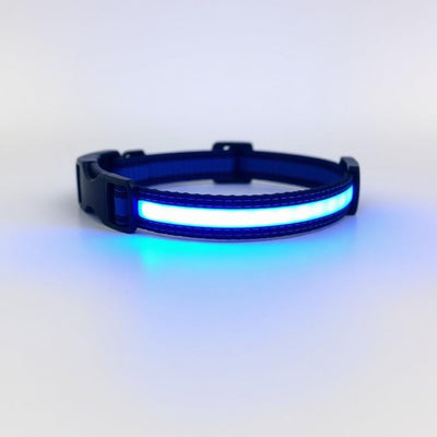 Reflective LED Dog Collar